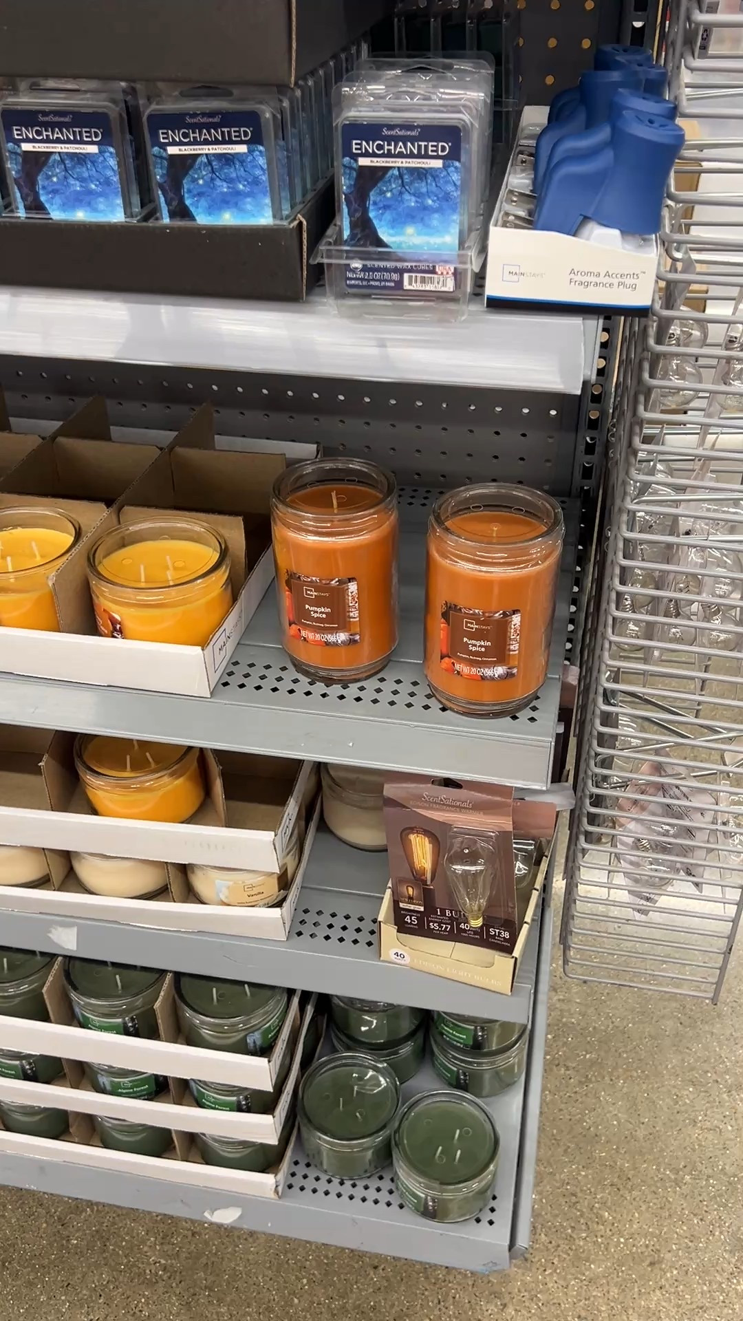 It’s time!!!!! Pumpkin Spice candles are here!!!

#LTKHome #LTKSeasonal #LTKFindsUnder50
