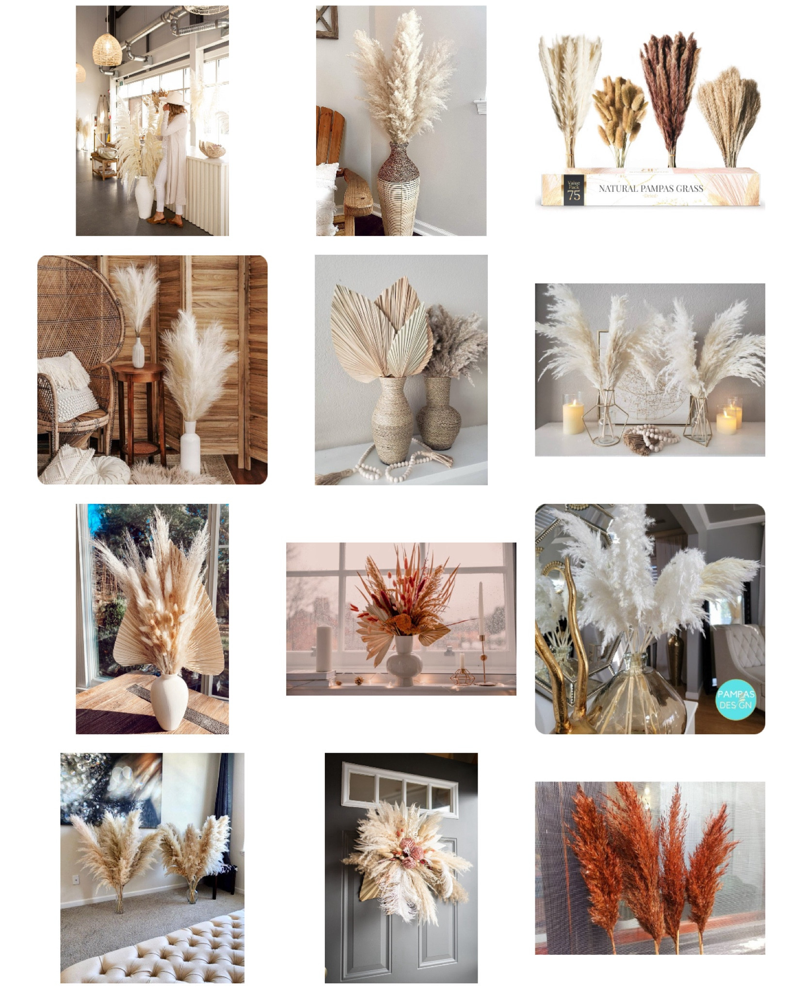 #falldecor
#pampasgrass
#homedecor
#fallstyles

#LTKSaleAlert #LTKFindsUnder50 #LTKHome