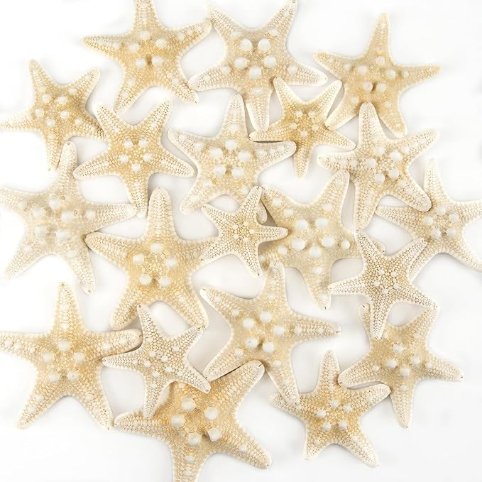 QEQEKAKA 20PCS Starfish for Crafts 1" to 3" Natural Starfish Decor Bulk, for Wedding Beach Theme ... | Amazon (US)