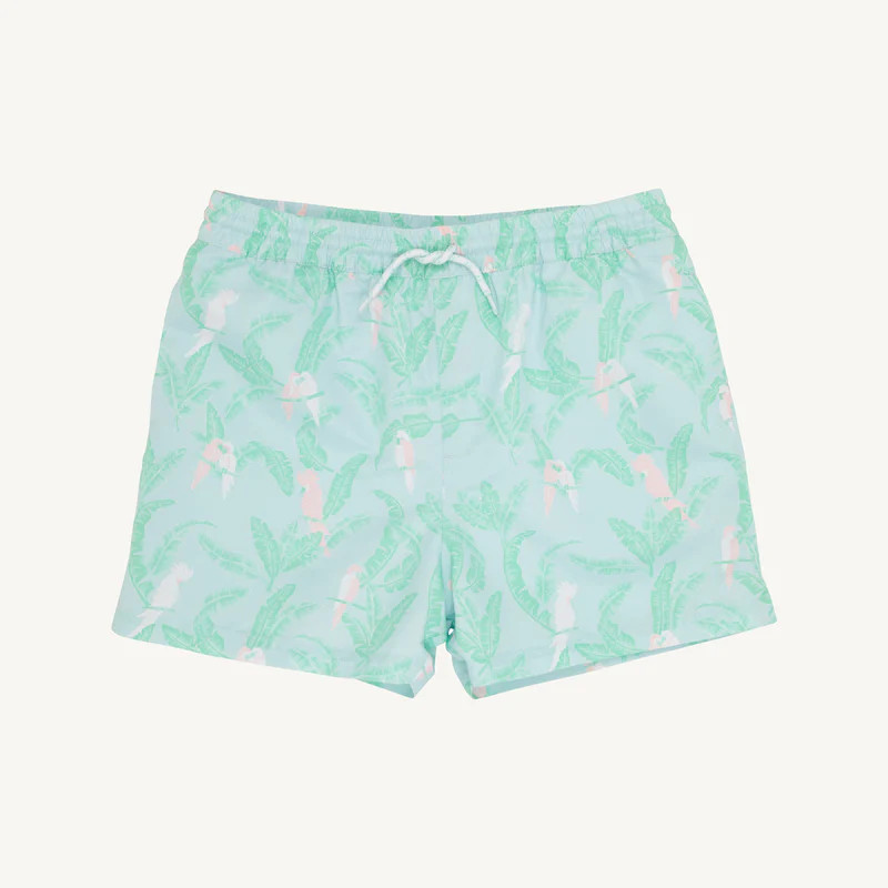 Parrot Island Palms | The Beaufort Bonnet Company