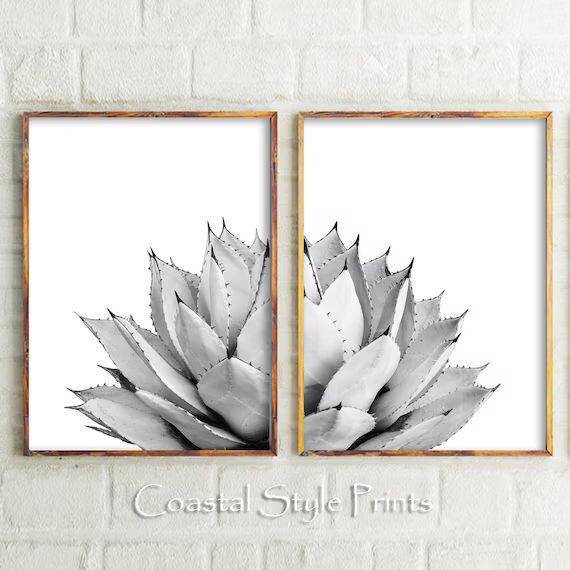 Black and White Print,Set Of 2 Prints,Cactus Print,Cactus Wall Art,Boho Print,Bedroom Decor,Print... | Etsy (US)