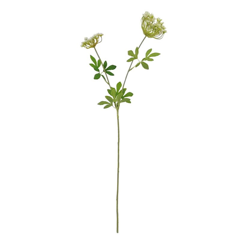 Shop all  Willow Crossley




Green Queen Anne's Lace Stem, 30"








	
		
		
			
				Write a ... | At Home