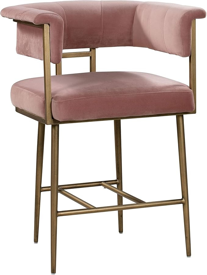 TOV Furniture Astrid Ultra Modern Barrel Back Velvet Upholstered Counter Stool, 26" Blush | Amazon (US)