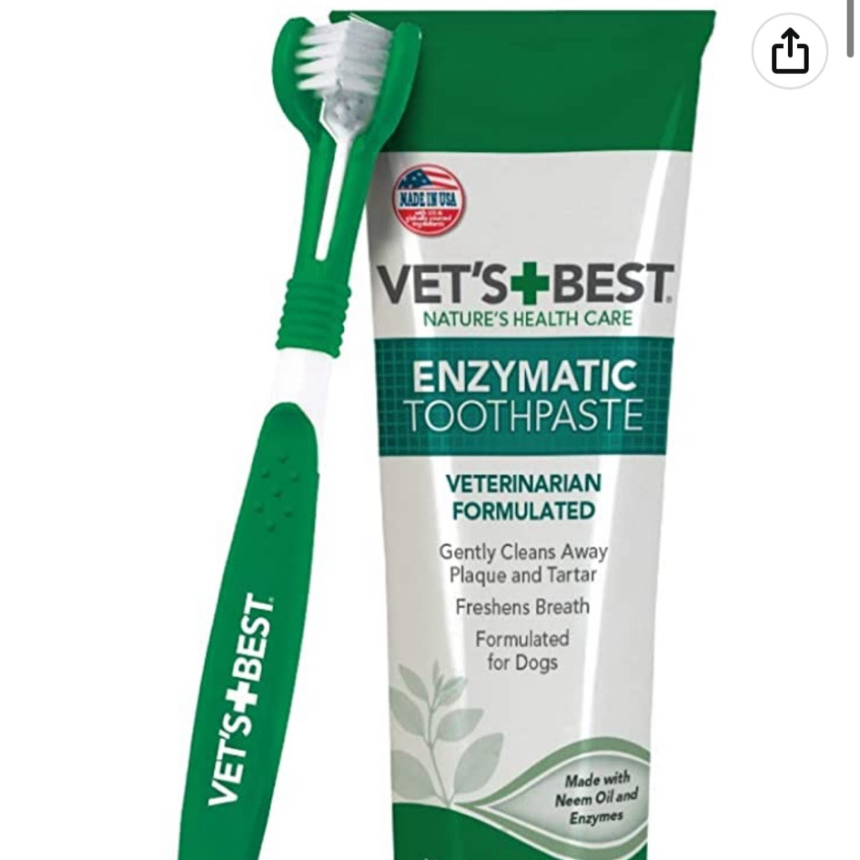 What we use for Minnie’s teeth. The angled grippy brush is really helpful and she seems to like the toothpaste taste. #dog #teeth

#LTKfamily #LTKsalealert #LTKunder50