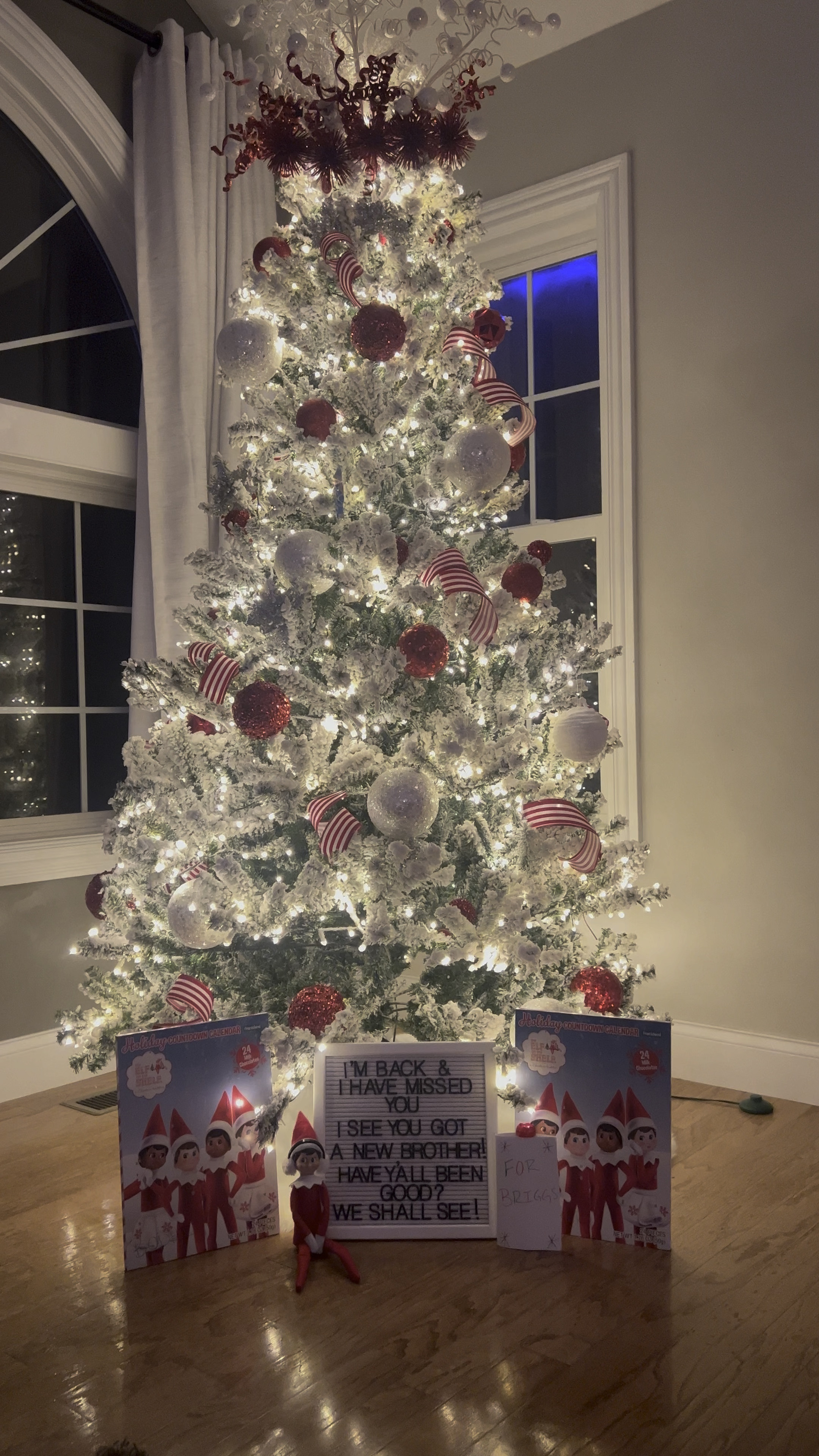The Home Depot flocked Christmas Tree 

Home Depot prelit Christmas tree, 6.5ft Christmas tree, warm led lights, 

#LTKhome #LTKSeasonal #LTKHoliday