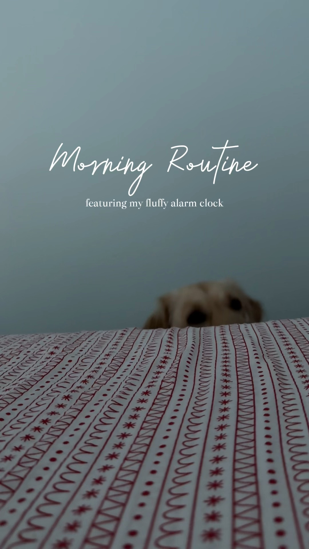 everything 🔗

#LTKActive #LTKBeauty #LTKWatchNow