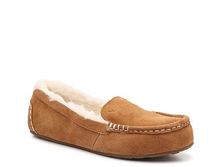 Lezley Slipper | DSW