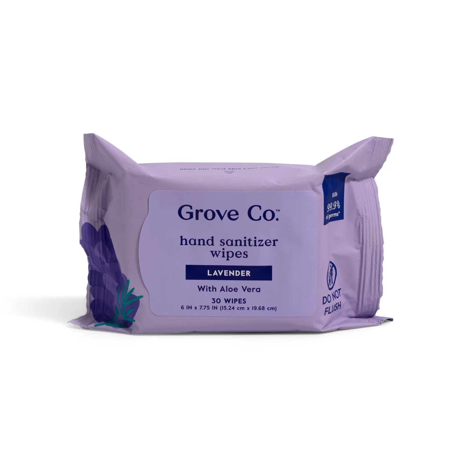 Hand Sanitizing Wipes - Kills 99.9% of Germs | Grove