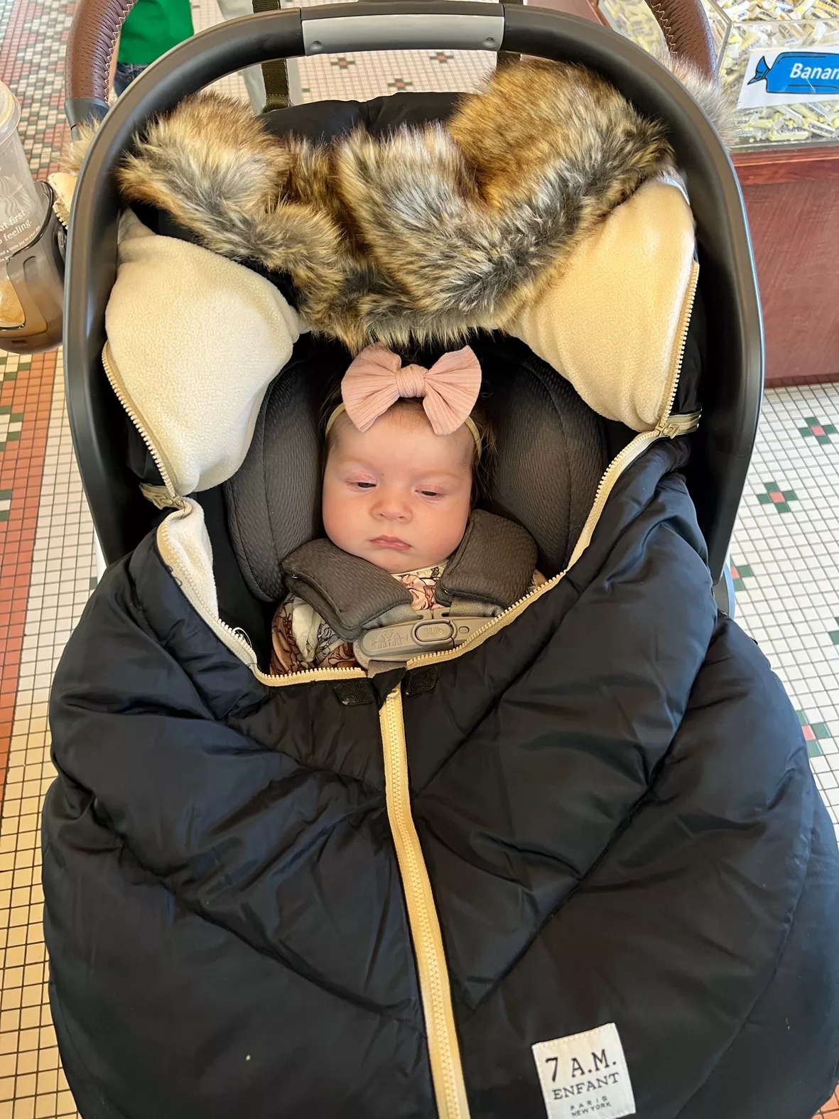 7AM Enfant Car Seat Cocoon Tundra … curated on LTK