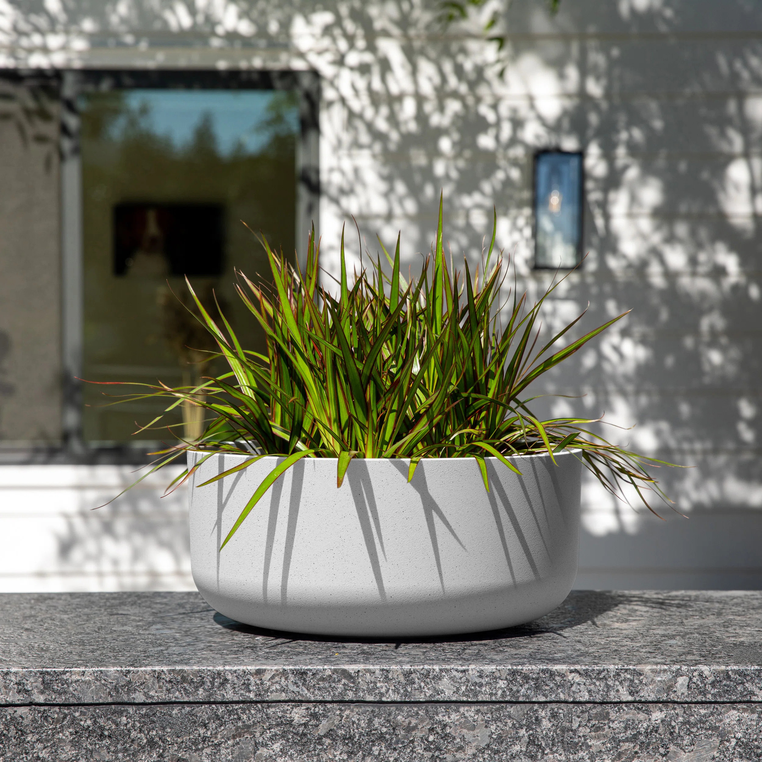 Mason Series Kona Bowl Planter | Joss & Main