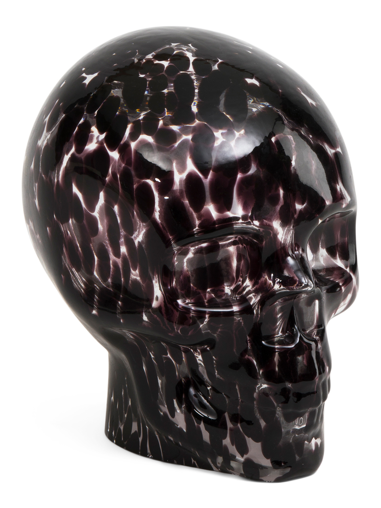 Tortoise Skull Decor | TJ Maxx