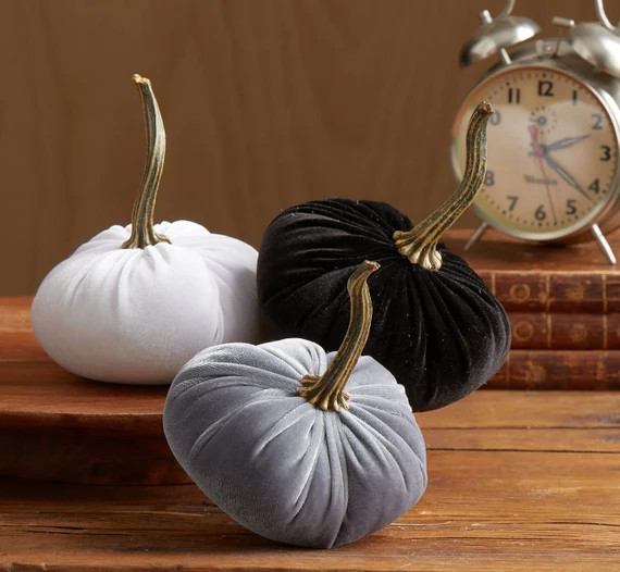Scented Velvet Pumpkins, SET of 3: Gray, White, Black | Etsy (US)