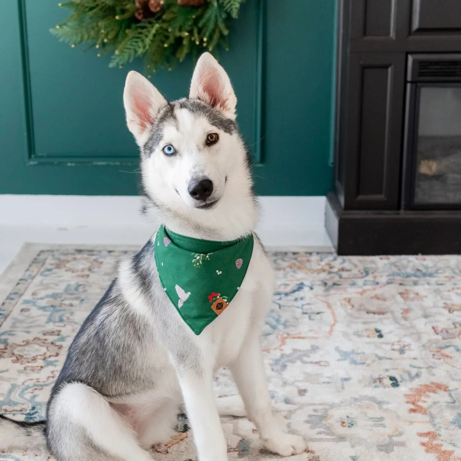 Dog Bandana in Mistletoe | Kyte BABY
