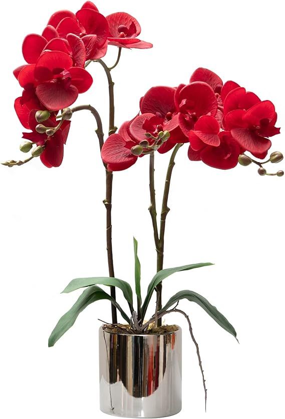 CXGS Artificial Orchid Flower Plants Real Touch Faux Orchids in Ceramic Vase Realistic Red Phalae... | Amazon (US)