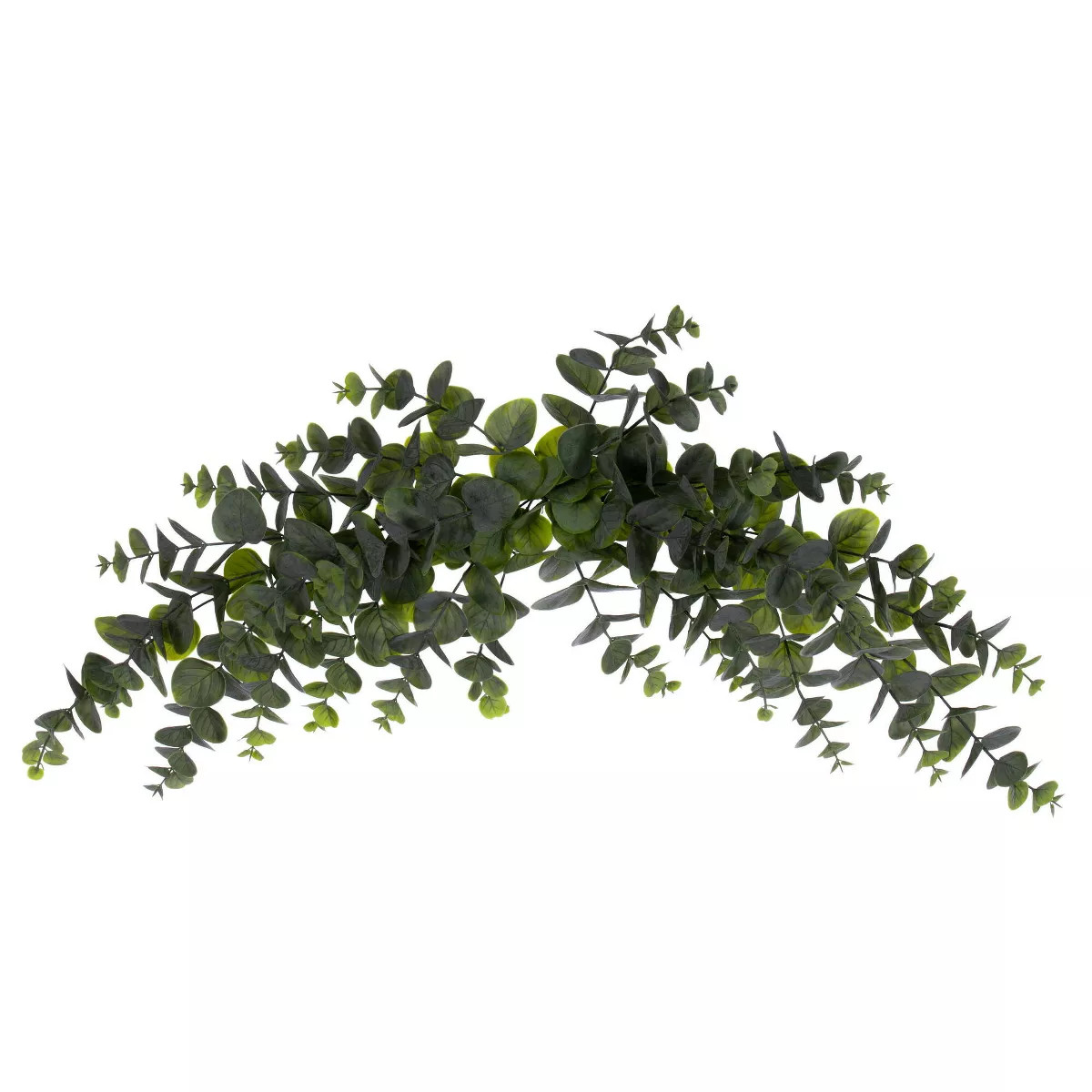 Vickerman 32" Artificial Green Spiral Euclyptus Crescent Swag | Target