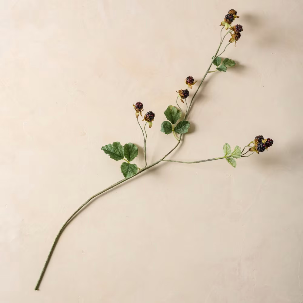 Blackberry Bush Spray | Magnolia