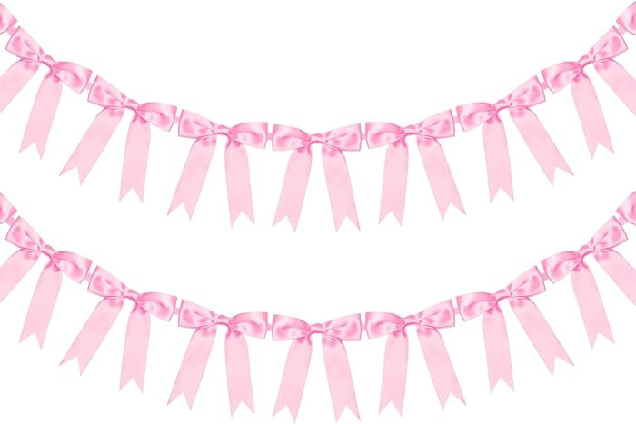 2 Pcs Pink Bow Garland Banner for Wedding Bachelorette Party Decorations Coquette Birthday Bow De... | Amazon (US)