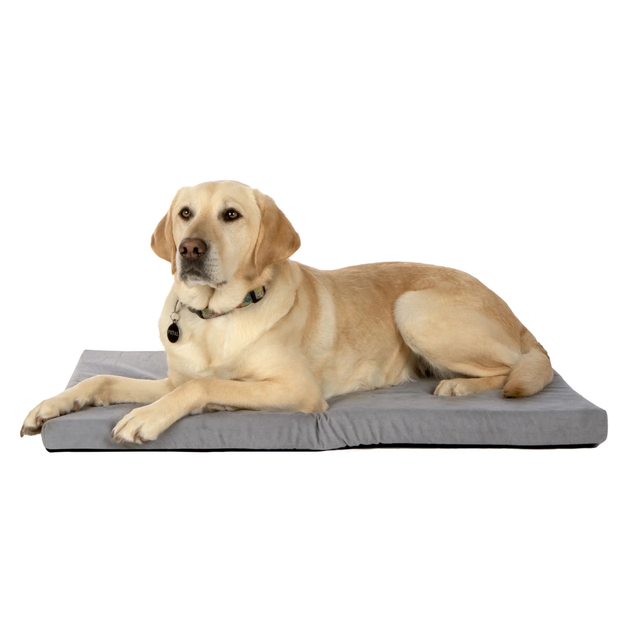 FurHaven Pet Products Mattress Edition Medium-Large Memory Foam Dog Kennel & Crate Mat, Gray | Walmart (US)