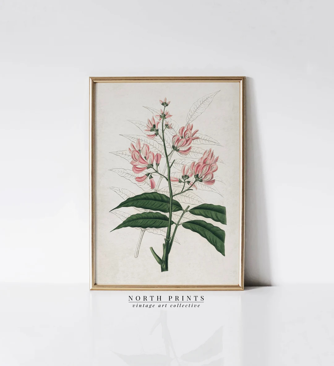 Vintage Flower Digital Print | Farmhouse Botanical Wall Art | Antique PRINTABLE Download | 1107 | Etsy (US)