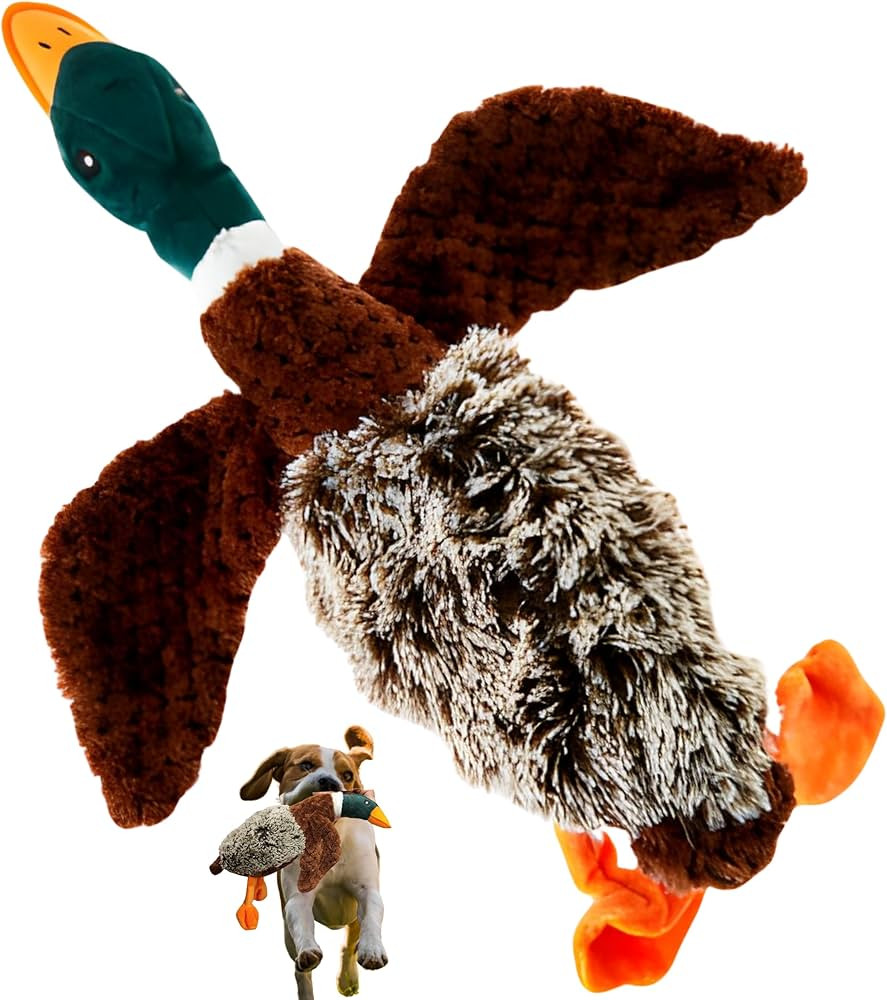 Plush Duck Dog Squeak Toys | mallard-shaped toy | Duck-Shaped Pet Toys | Squeak duck dog toy | du... | Amazon (US)