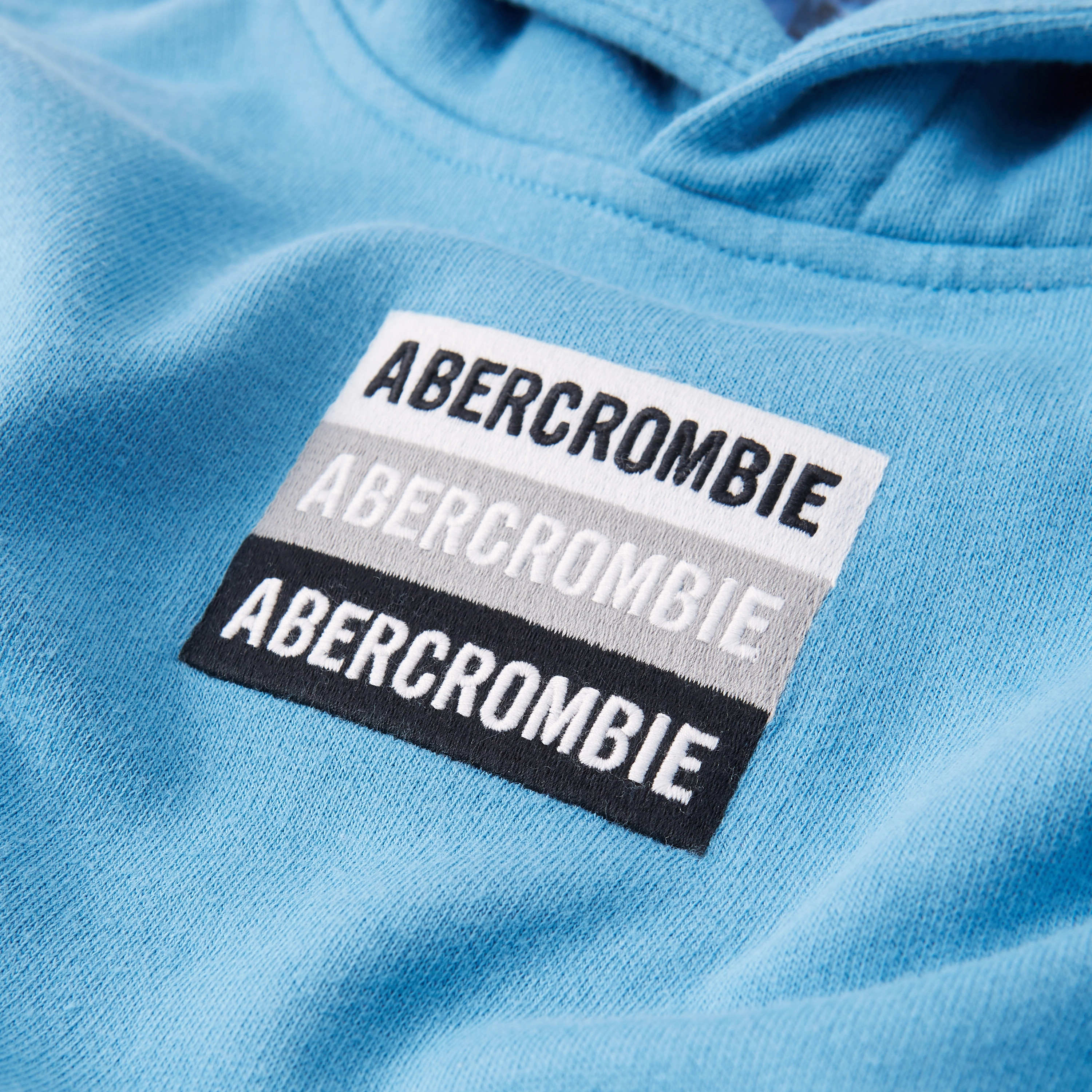 logo hoodie | Abercrombie & Fitch (US)