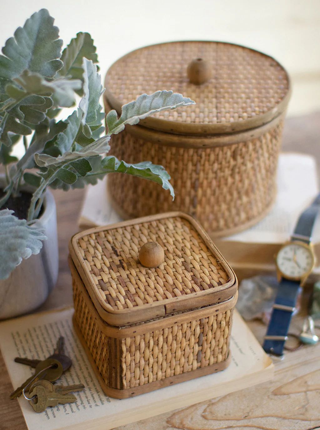 Woven Cane Boxes, Set of 2 | House of Jade Home