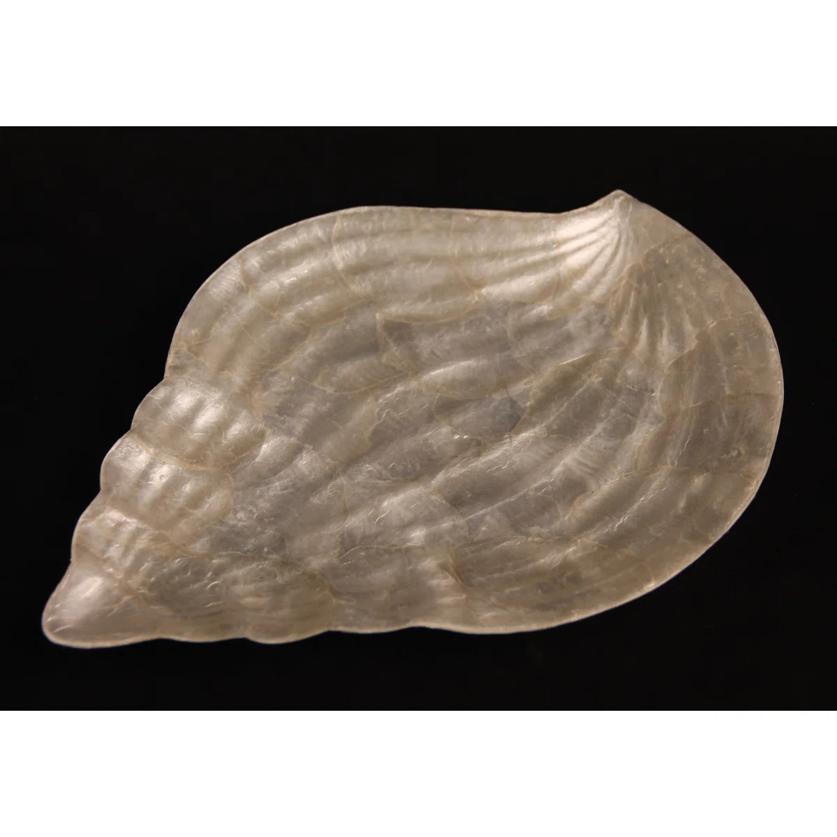 Capiz Shells Tray | Wayfair North America