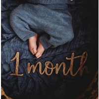 Monthly Milestone Prop | Photo Wood Baby Markers Photo Gear 3D Baby Cutout Nursery | Etsy (US)