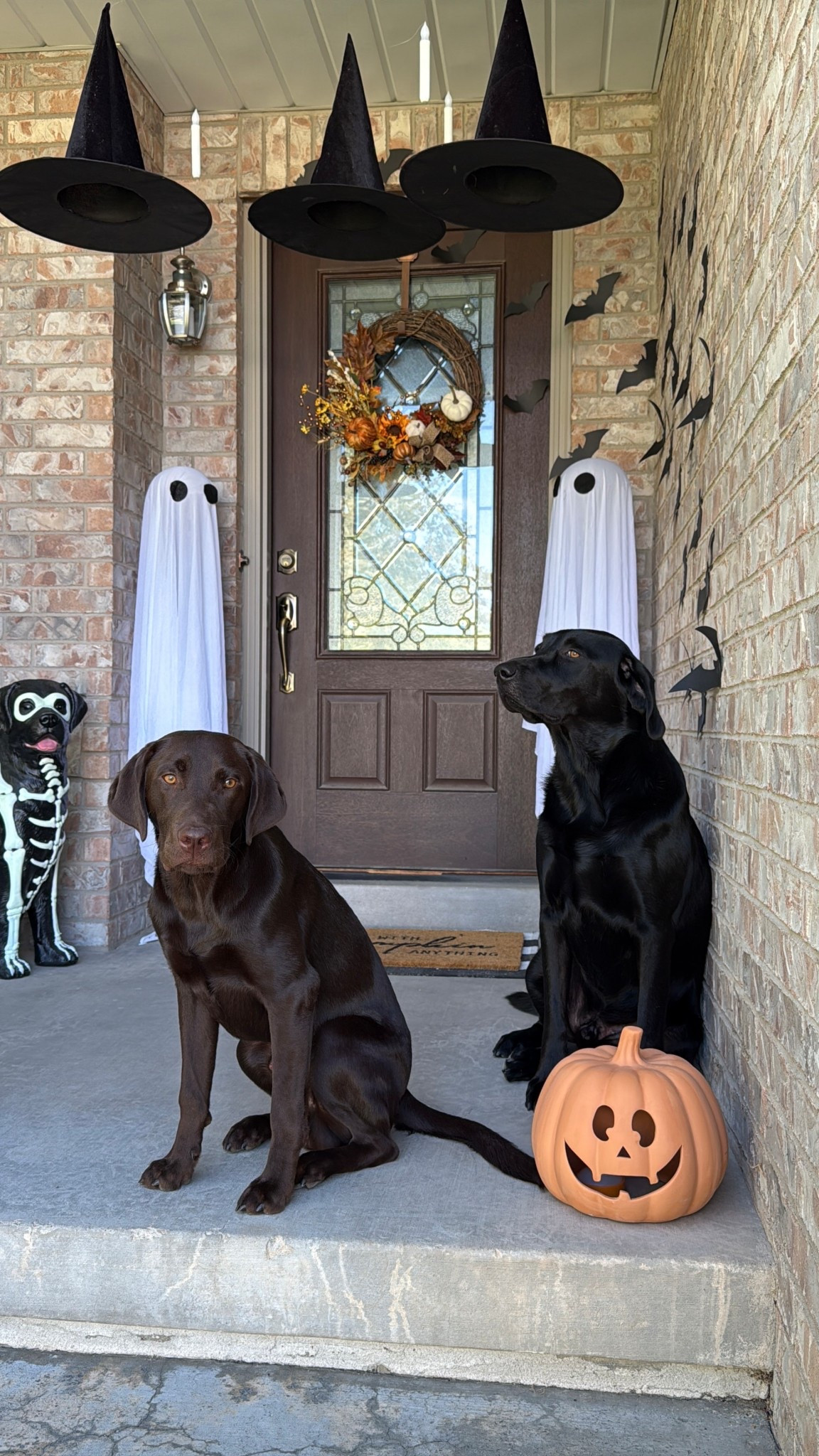 Halloween porch decor 
Halloween decor
Porch decor 

#LTKHalloween #LTKSeasonal #LTKHome