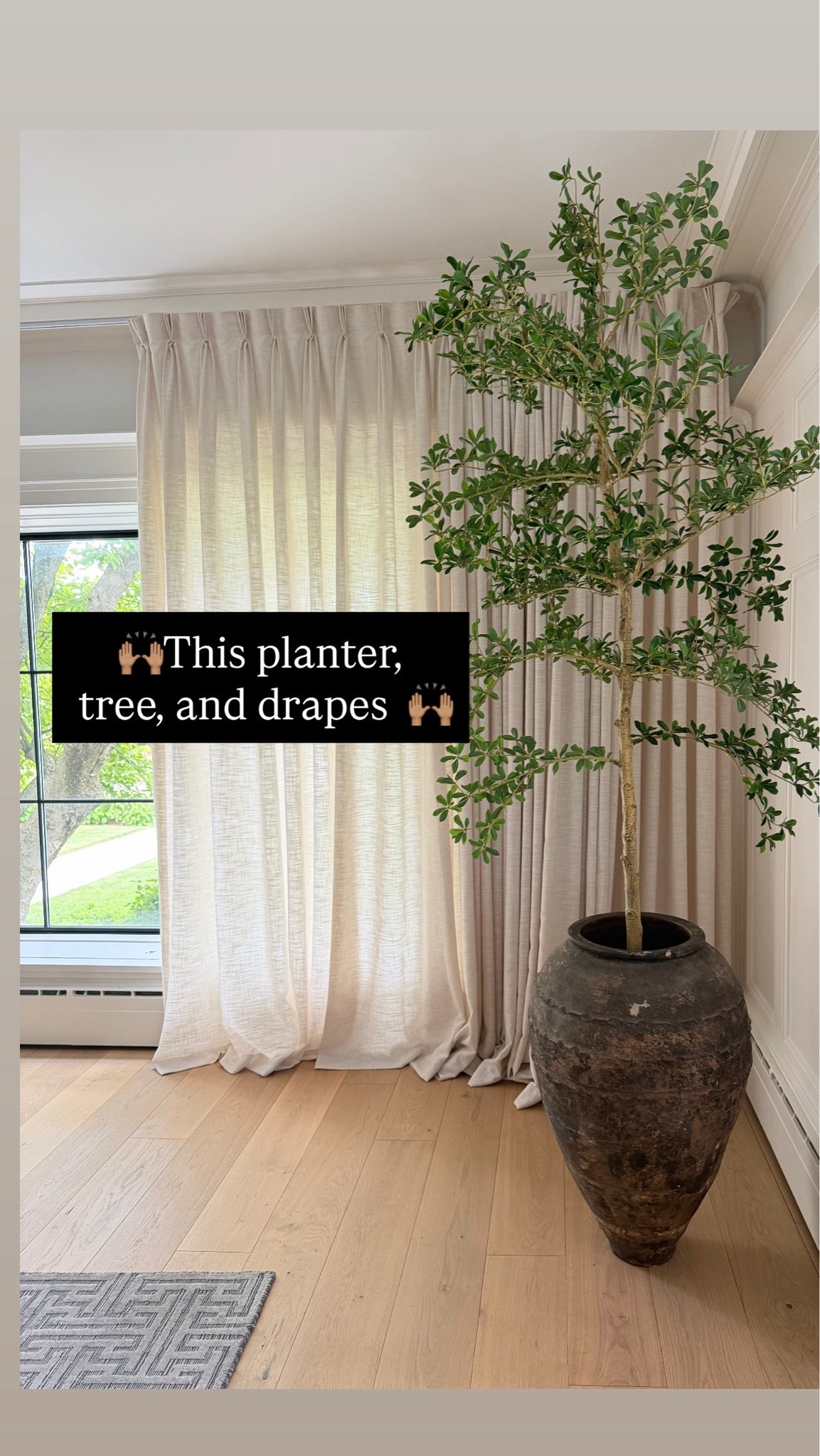 Tree, planter, and drapes

#LTKHome #LTKSeasonal #LTKSaleAlert