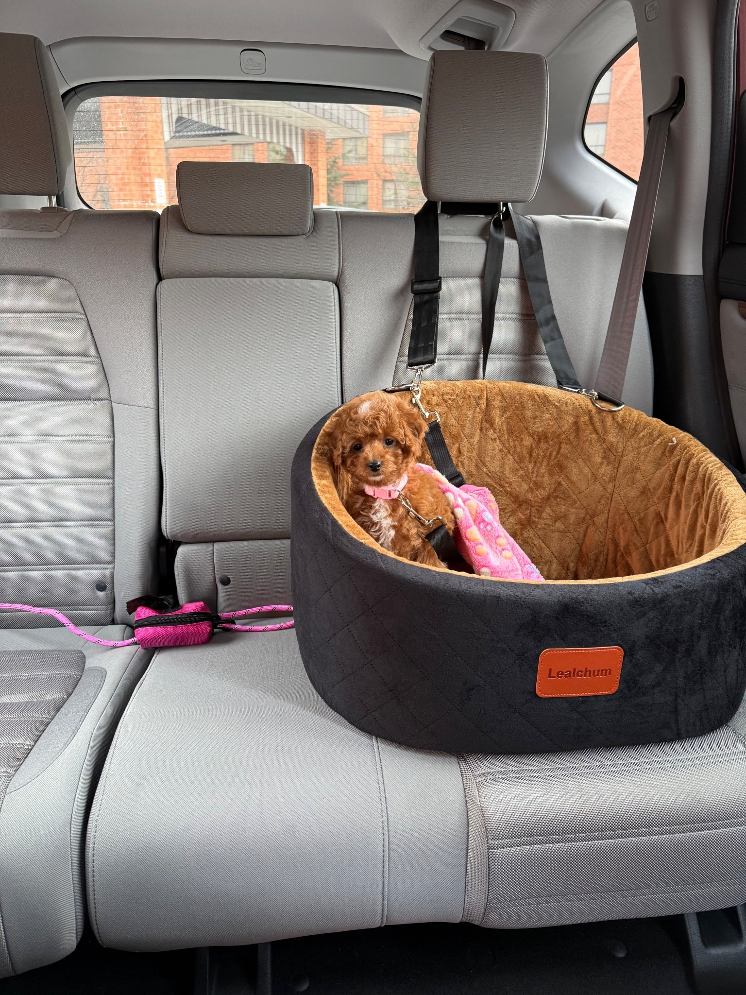Amazon Dog Car Seat & Blankett