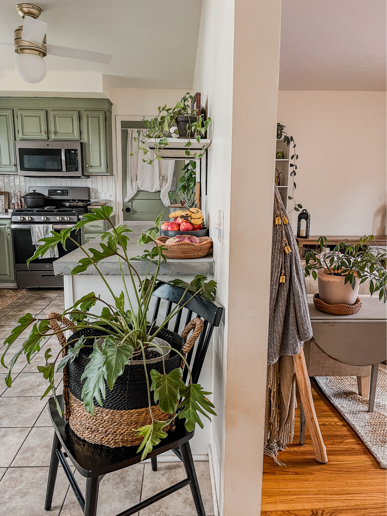 Love this view of our living room and kitchen



#LTKfindsunder100 #LTKstyletip #LTKhome