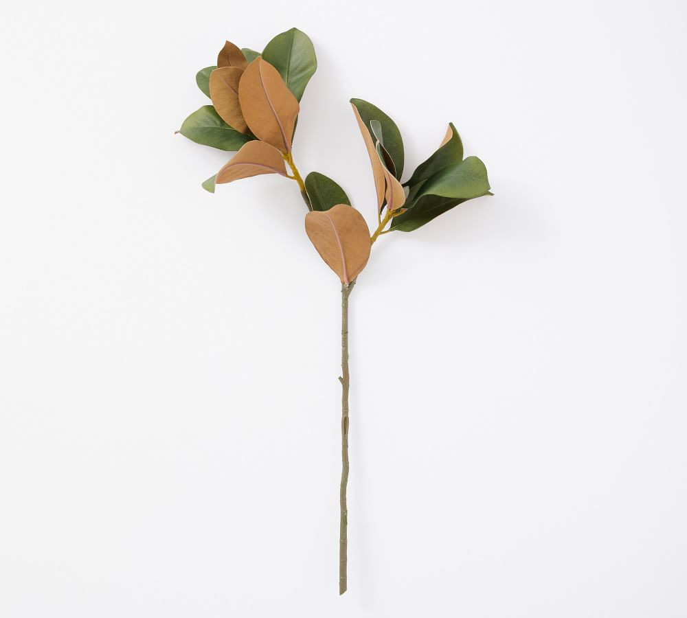 Faux Magnolia Branch | Pottery Barn (US)