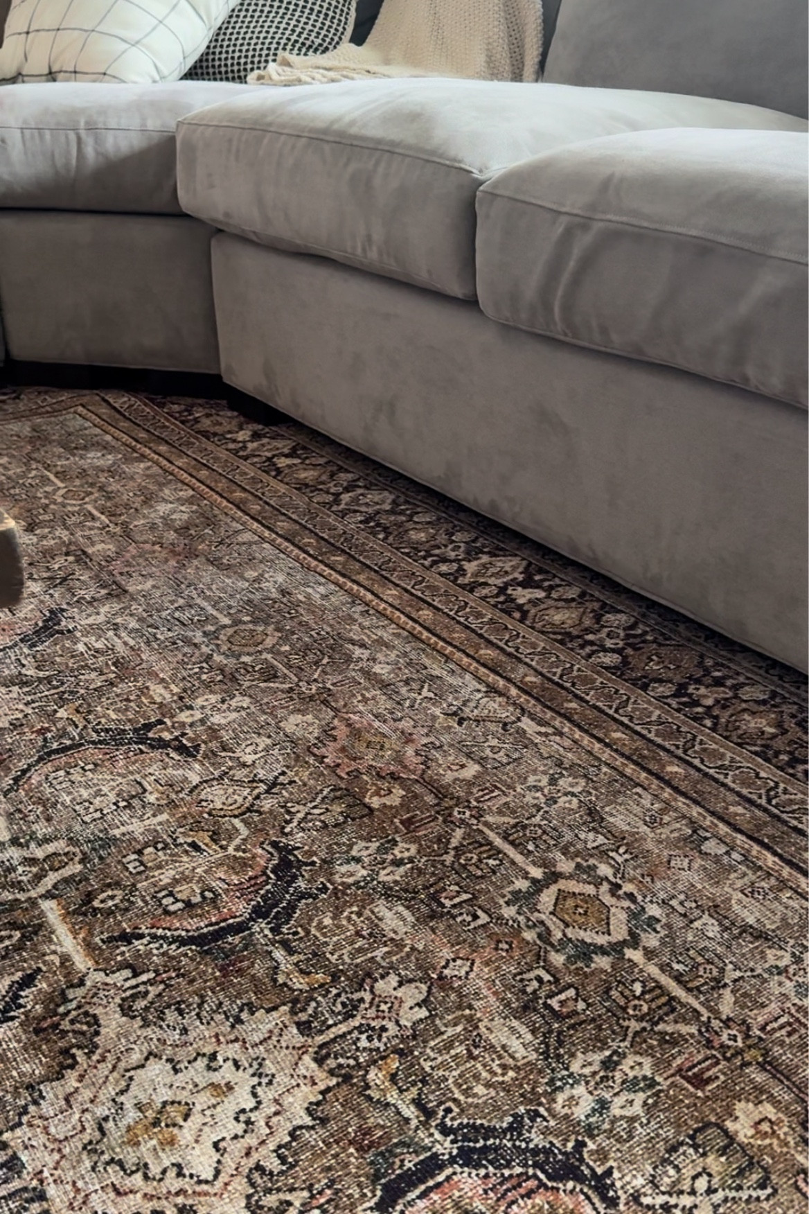 Vintage inspired living room rug  

#LTKHome #LTKFamily