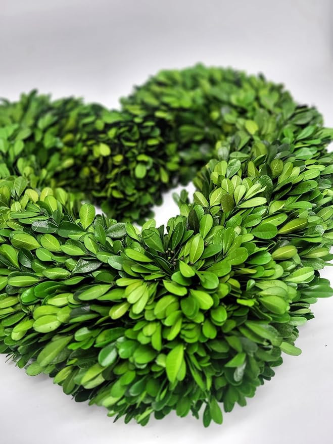 Tradingsmith Preserved Boxwood Heart Wreath 16 in | Amazon (US)