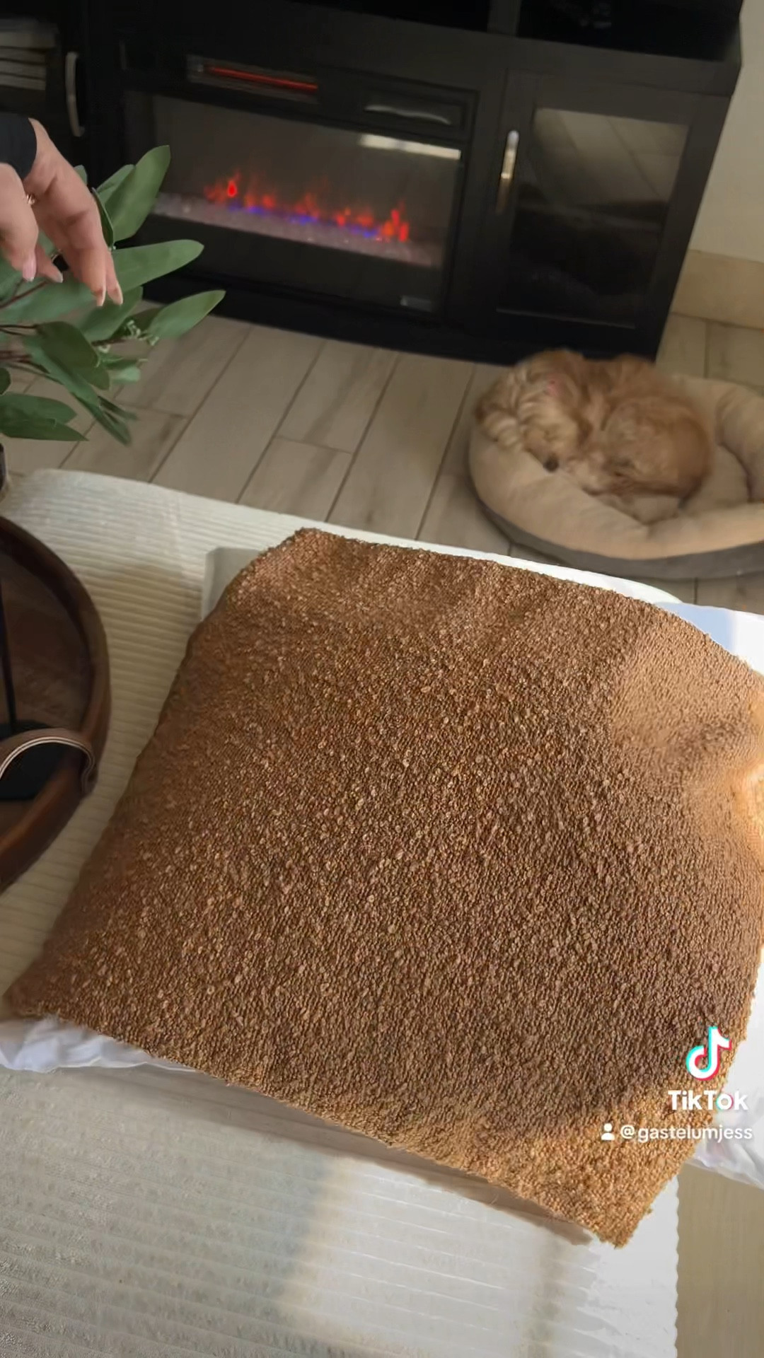 ✨Los forros perfectos!😍


#LTKStyleTip #LTKHome