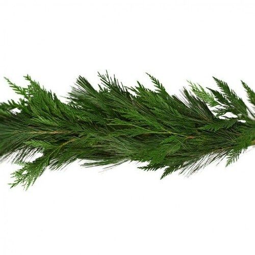 20-ft Fresh White Pine Christmas Garland | Lowe's