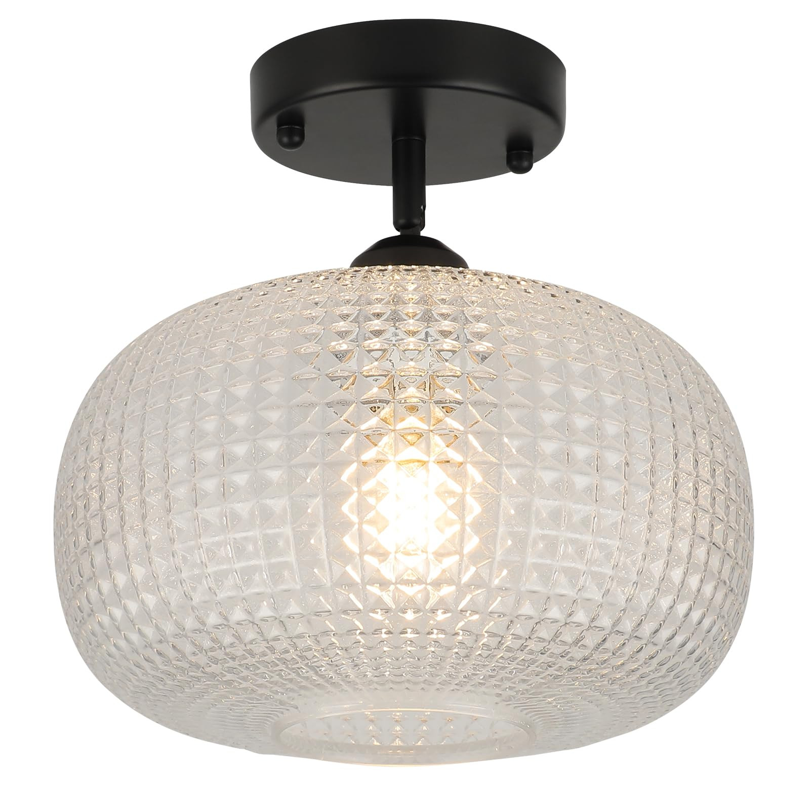 WILON Glass Flush Mount Ceiling Light Globe Black Ceiling Light Fixture Modern Farmhouse Lighting... | Amazon (US)