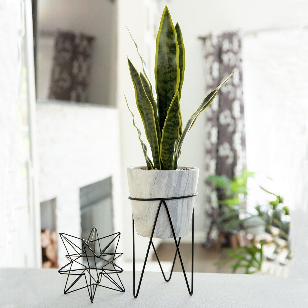 1.75FT Snake Plant in Marble on Metal Stand - ONE-SIZE (ONE-SIZE) | Bed Bath & Beyond