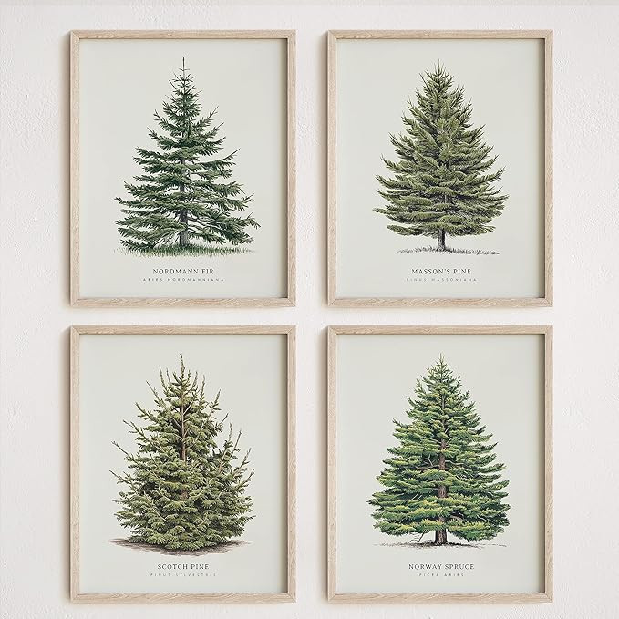 NOCTMETEOR 4Pcs Vintage Christmas Tree Wall Art, Artful 4 Pine Tree Botanical Prints, Winter Wall... | Amazon (US)