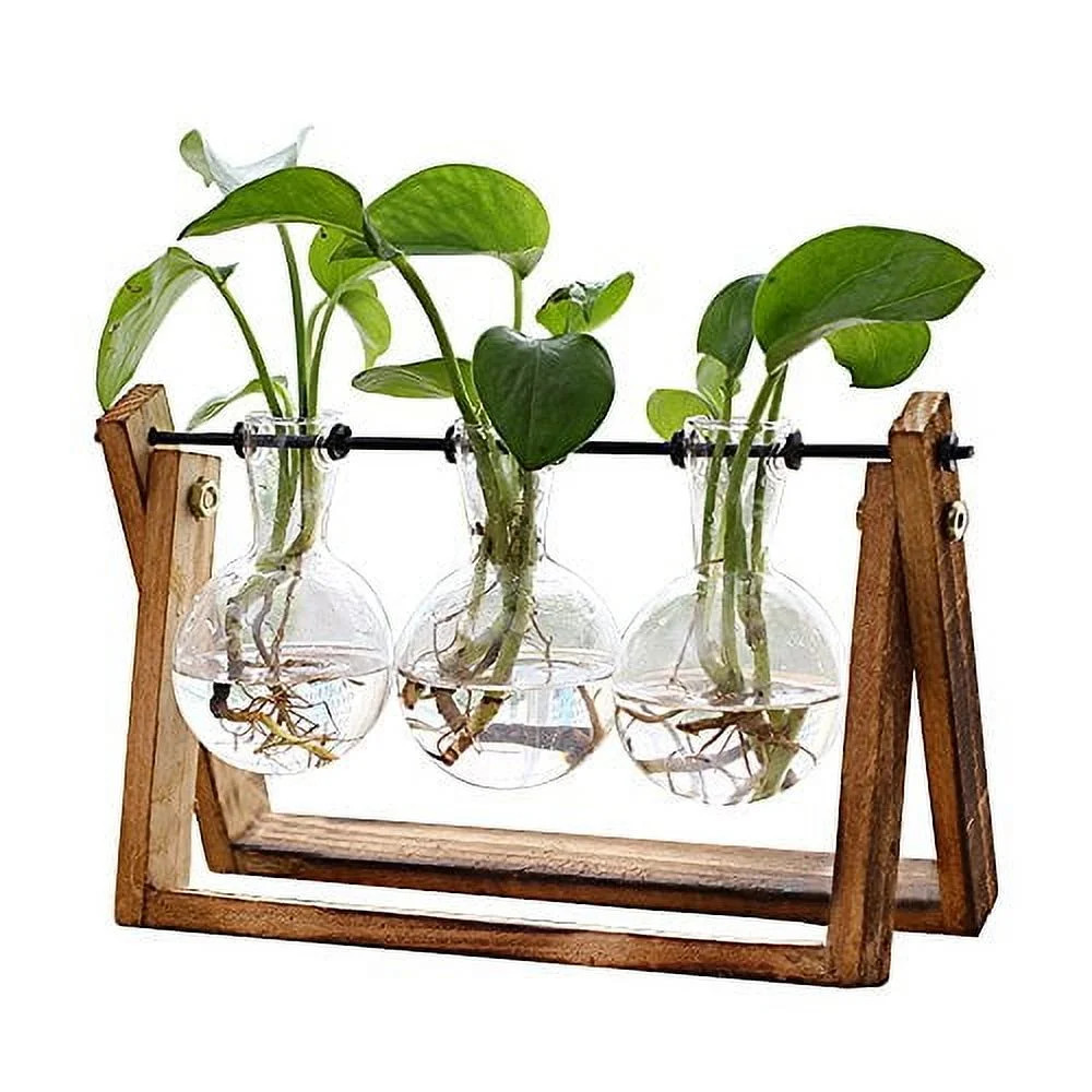 Plant Terrarium with Wooden Stand, Air Planter Bulb Glass Vase Metal Swivel Holder Retro Tabletop... | Walmart (US)