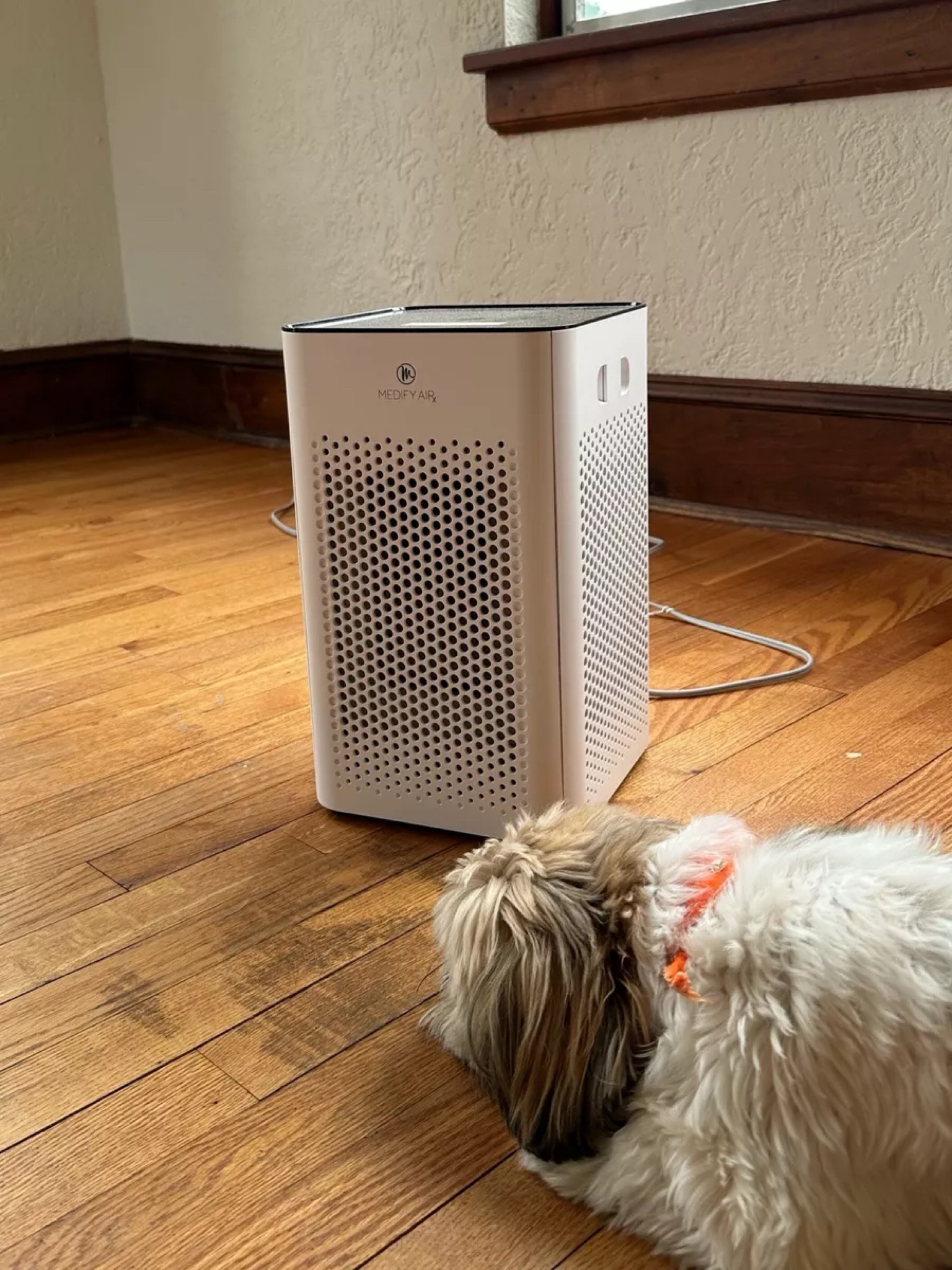 Air purifier that we keep in all rooms of our house! Makes a huge difference!


Home finds, home essentials, air purifier

#LTKFamily #LTKHome