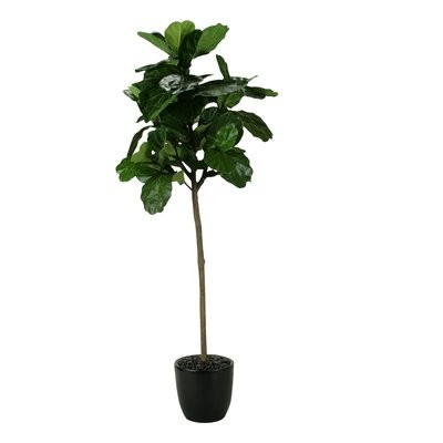 Fiddle Leaf Fig Tree in Planter | Wayfair North America