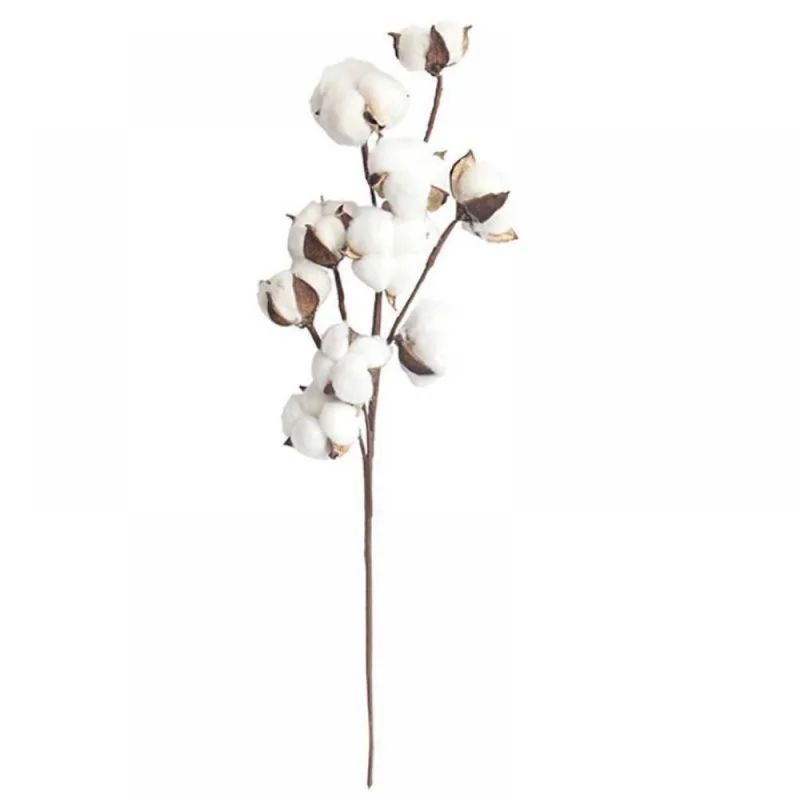 21-Inch Natural White Cotton Stem Flowers Cotton Boll Branches Farmhouse Rustic Style 10 Natural ... | Wayfair North America
