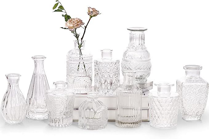 Glass Bud Vase Set of 10 - Small Vases for Flowers, Clear Bud Vases in Bulk, Cute Glass Vases for... | Amazon (US)