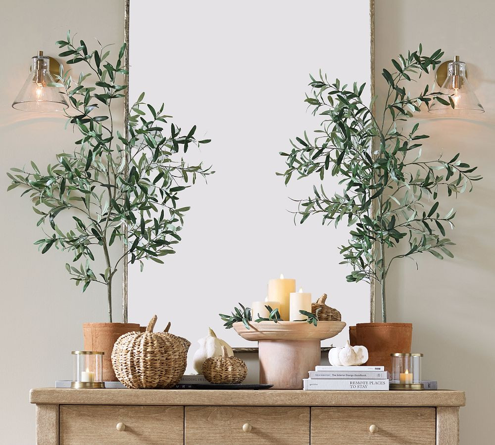 Faux Terracotta Potted Olive Tree | Pottery Barn CA