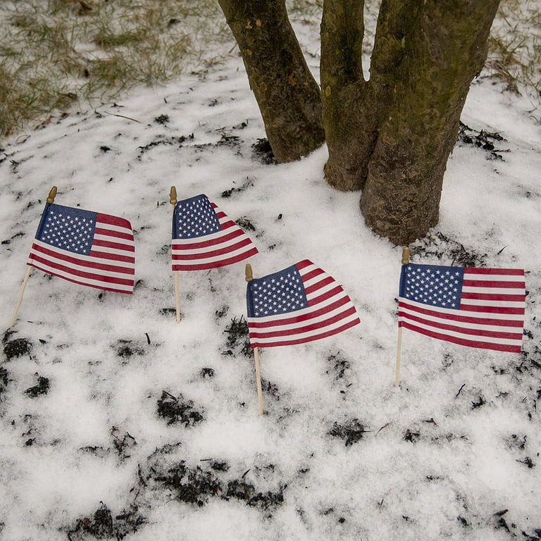 American Polycotton Stick Flag, 4" x 6" by Betsy Flags, 4-Pack | Walmart (US)