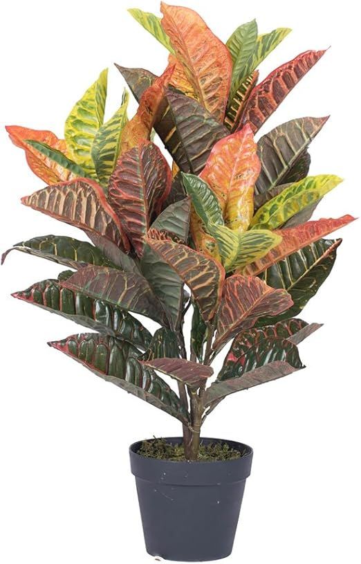 Vickerman Everyday Artificial Real Touch Croton 30 Inch - Lifelike Home Office Decor - Potted Ind... | Amazon (US)