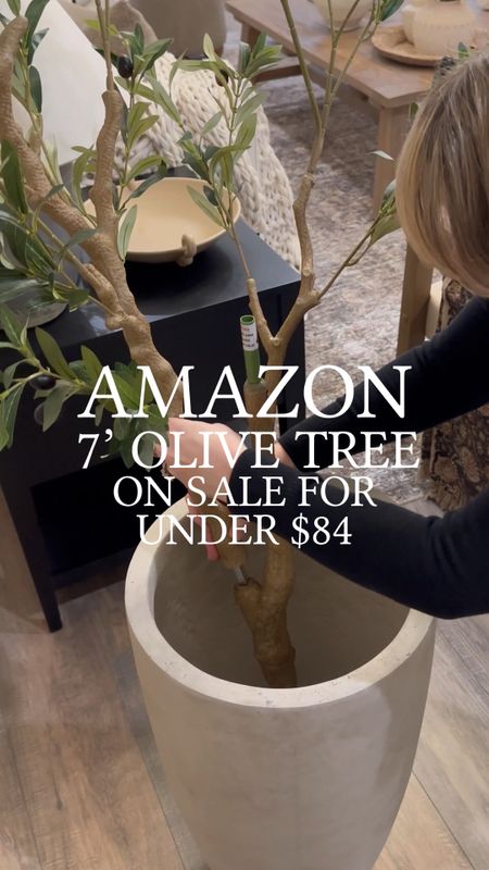 Amazon Olive Tree Sale. Follow @farmtotablecreations on Instagram for more inspiration.

My 7’ olive tree is an Amazon Limited Time Deal & under $84. Never seen it this price before. 😱 

Absolutely LOVE and the quality is soooo good!! Plus this cement pot holds it perfectly. I did not elevate this but, you can easily do so by adding a box to the bottom of the planter.

Loloi Rugs | olive tree | living room decor | faux stems | entryway space | home decor finds | neutral decor | living room furniture | cozy home | affordable decor |  | home decor | home inspiration | spring stems | spring console | spring vignette | spring decor | spring decorations | living room styling | living room rug | cozy moody home | moody decor | neutral home | neutral style | modern organic | living room design

#LTKSaleAlert #LTKFindsUnder100 #LTKHome