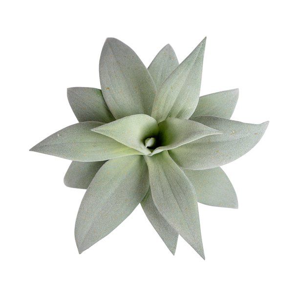 Mainstays 11.4" Green Artificial Tequila Plant in Terracotta Pot | Walmart (US)